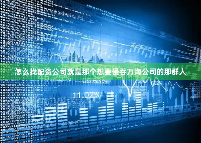怎么找配资公司就是那个想要侵吞万海公司的那群人
