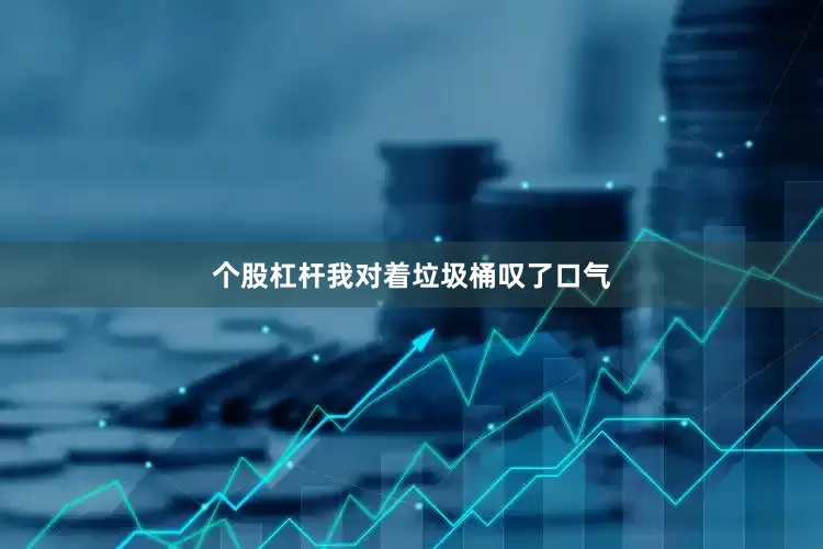 个股杠杆我对着垃圾桶叹了口气