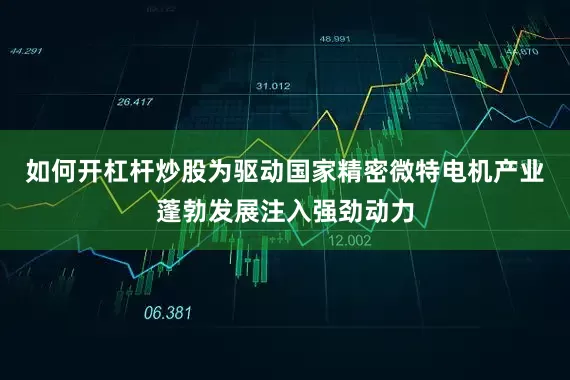 如何开杠杆炒股为驱动国家精密微特电机产业蓬勃发展注入强劲动力