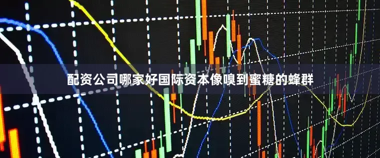 配资公司哪家好国际资本像嗅到蜜糖的蜂群